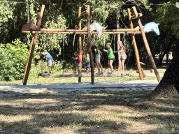 IMG_1201